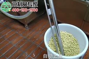 300型豆坊专用豆腐机工作现场